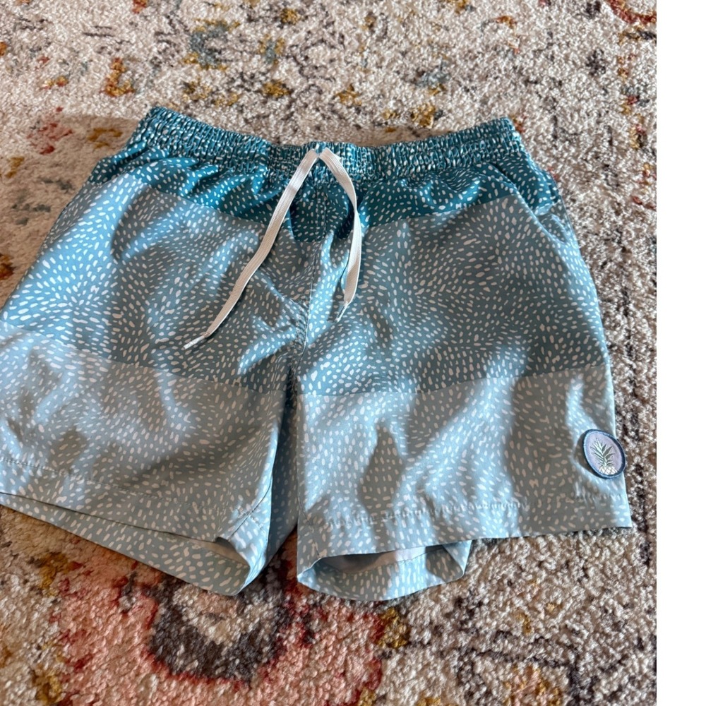 Chubbies Mens Blue White Speckled Gradient Swim Trunks Small Pineapple Logo